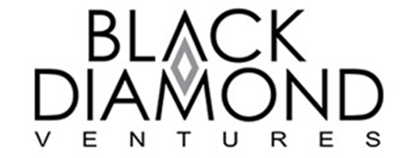 Black Diamond Ventures Logo