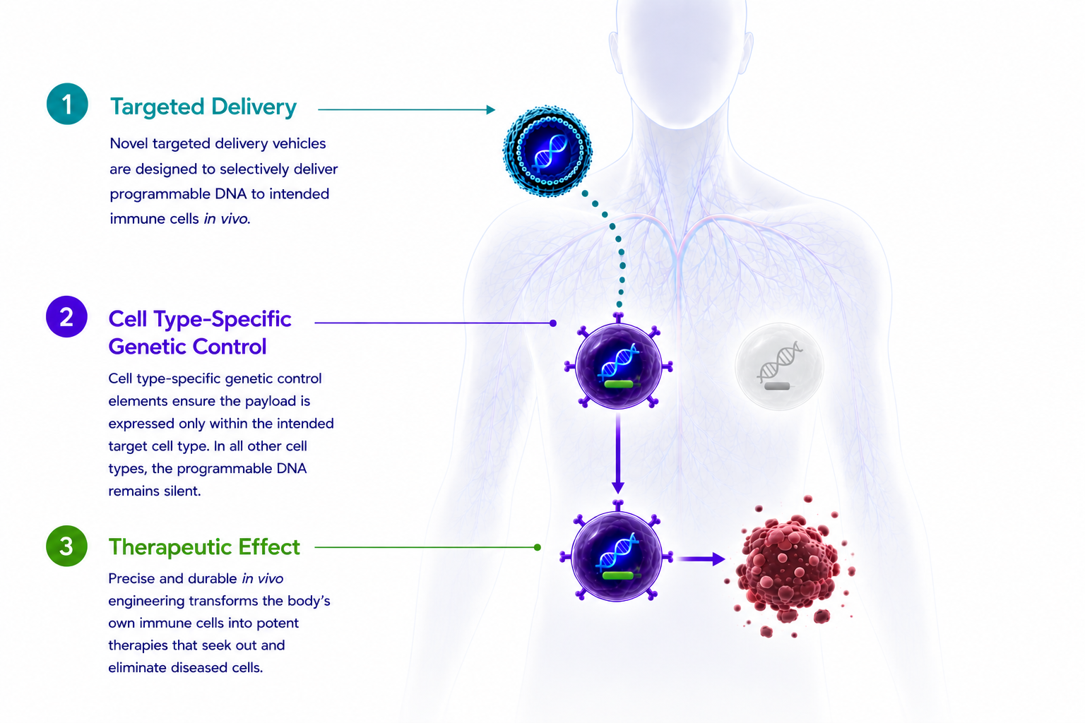 ImmunoVec